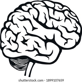 Gráfico del vector del cerebro en blanco negro, aislado