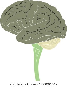 Brain Vector Green