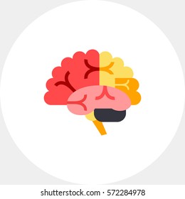 Brain Vector Icon