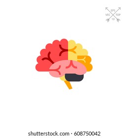 Brain Vector Icon