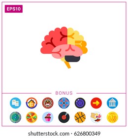 Brain Vector Icon