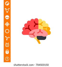 Brain Vector Icon