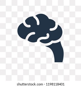 Brain vector icon isolated on transparent background, Brain transparency concept can be used web and mobile