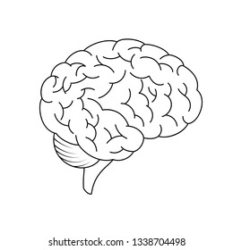 Brain vector icon isolated on a white background.