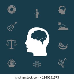 Brain vector illustration