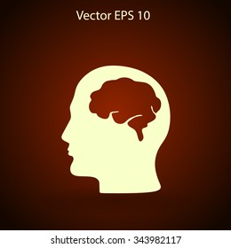 Brain vector illustration - Shutterstock ID 343982117