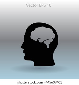 Brain vector illustration