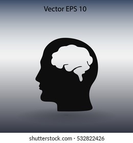 Brain vector illustration