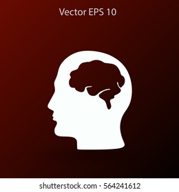 Brain vector illustration - Shutterstock ID 564241612