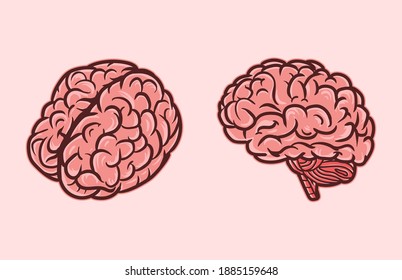 Brain Vector Illustration detailed and editable