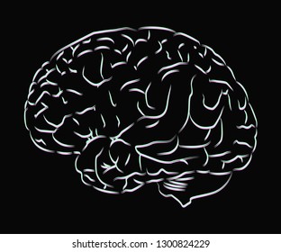 brain vector illustration image distortion