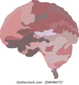Brain vector illustration isolated on white background, vector of a human brain for poster, card or banner.