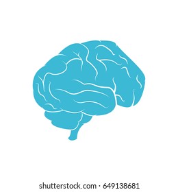 brain vector illustration isolated on white background