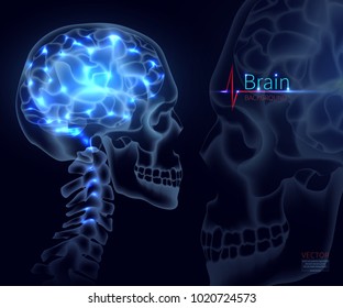 Brain, vector illustration for medicine. A skull shot, neural networks of the brain, Brain activity and performance,  A creative illustration in a new style of 2018