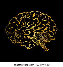
brain. Vector Illustration for scientific articles, decorative symbol or element for design.