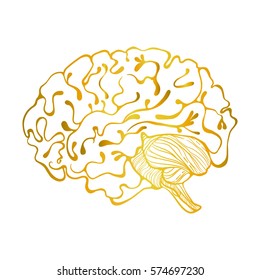 
brain. Vector Illustration for scientific articles, decorative symbol or element for design.