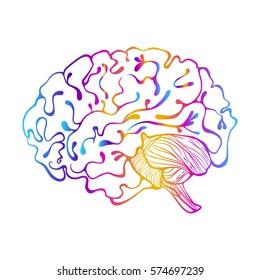 
brain. Vector Illustration for scientific articles, decorative symbol or element for design.