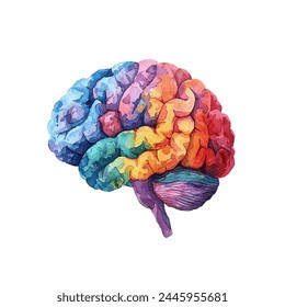 brain vector illustration in watercolor style