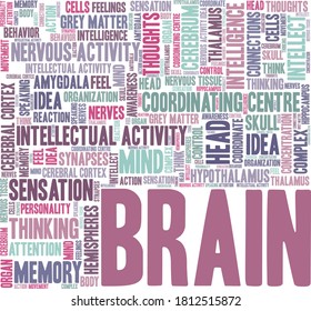 Brain vector illustration word cloud isolated on a white background.