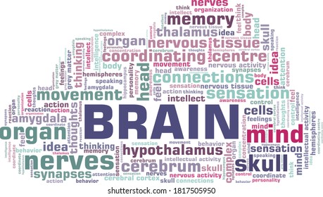 Brain vector illustration word cloud isolated on a white background.