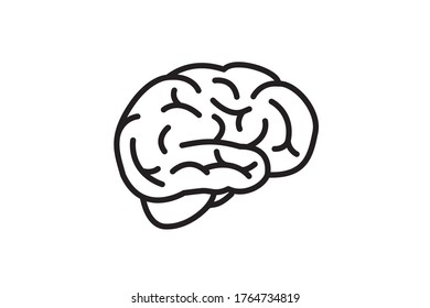 Brain vector line illustration icon