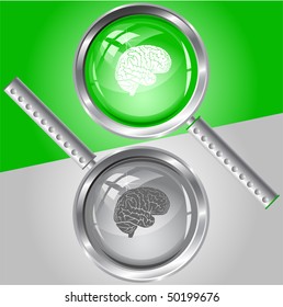 Cerebro. Vidrio de aumento vectorial.