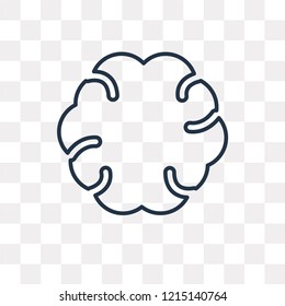 Brain vector outline icon isolated on transparent background, high quality linear Brain transparency concept can be used web and mobile