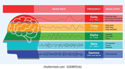 Brain wave function EEG chart, Different kinds of waveforms produced by brain activity Digital illustration.