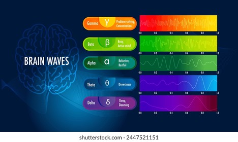 infografía de ondas cerebrales gramma beta alpha thata delta