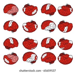 brain for web design set