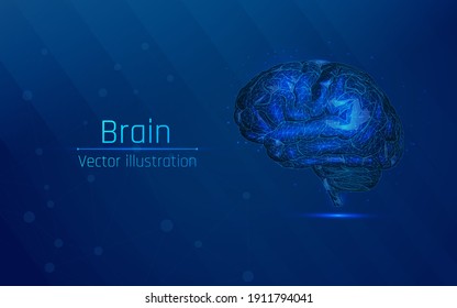 Brain. wireframe  digital human brain. IQ testing Neural network. artificial intelligence virtual emulation science technology concept. Brainstorm idea. 3D low poly ,vector illustration. plexus 