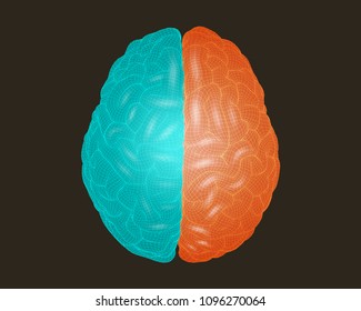 Brain wireframe illustration top view point with left and right separated color concept in translucent shader