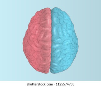 Brain wireframe illustration top view point with left and right separated color concept in translucent shader