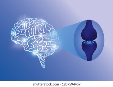 Brain Work Is Endocannabinoid System