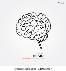 brain.brain icon.vector illustration.