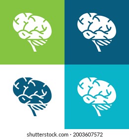 Brains Flat four color minimal icon set