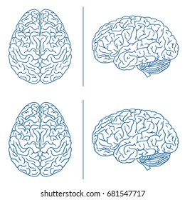 Brains medical info graphics. Hand drawn line art cartoon vector illustration.