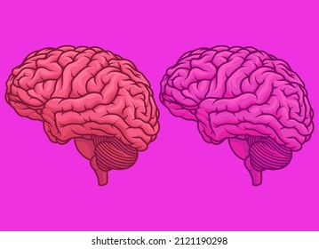 Brains vector illustration vector illustration on isolated background