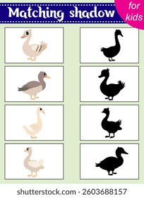Brainteaser for kids.  Educational cards. Farm animals. Goose and duck. Find the correct shadow. Activity for preschoolers and toddlers. 
