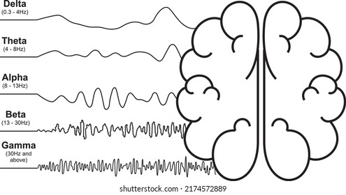 Brainwave frequencies signal Analysis, human brain's response, neural network, vector illustration informatics drawing