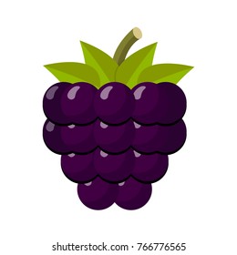 bramble blackberry flat design isolated on white background