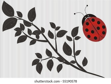 Branch