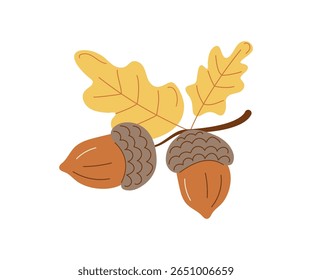 Ramo com bolota, folhas de carvalho. Desenhado à mão, rabiscar. , folhas de outono, queda de folhas, natureza. Ilustração botânica natural, fundo branco isolado.