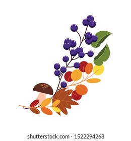 branch with acorns autumn fruits seasonal vector illustration design