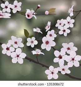 Branch almond with flower