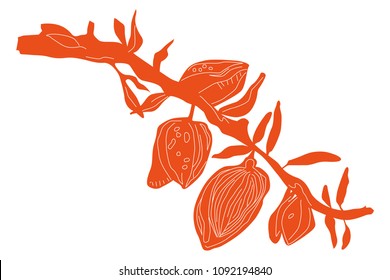 branch of almond tree in red color