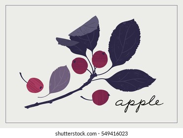 A branch of the apple. Hand drawn vector illustration.
