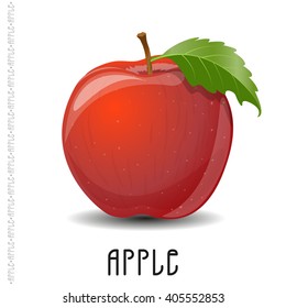 The branch of apple on white background