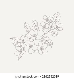 Branch of apple tree branch. Flat vector contour illustration.