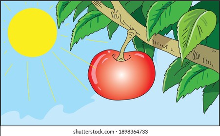 Branch of an apple-tree with an apple on a background of the sun